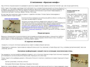 Красная нимфа