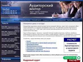 Аудиторский вектор