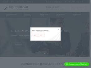 Бизнес-Профи