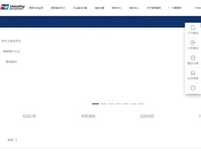 UnionPay
