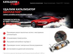 Катализатор04