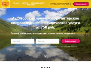 Аудит-Профи