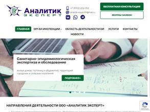 Аналитик-Эксперт