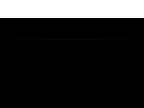 Консорциум Профессионального Менеджмента