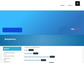 Спортивная Школа № 1