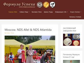 Формула успеха