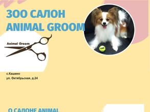 Animal groom