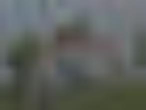 Трезвое поколение