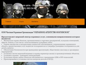 Охранное агентство Ногинское
