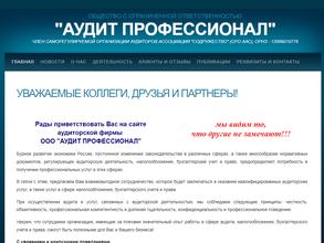 АУДИТ ПРОФЕССИОНАЛ