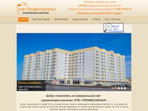 Профессионал