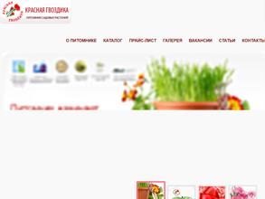 Красная гвоздика