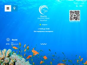 Sochi discovery world aquarium