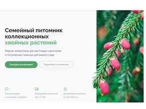 Хвойная коллекция