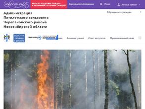 Администрация Пятилетского сельсовета Черепановского района