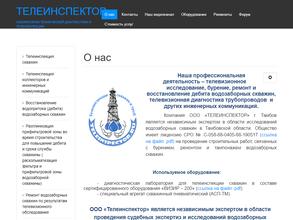 Телеинспектор