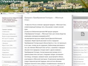 Библиотека-музей истории микрорайона №11 им. И.П. Склярова