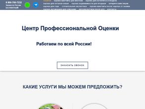 ЦЕНТР ПРОФЕССИОНАЛЬНОЙ ОЦЕНКИ