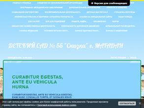 Детский сад №55