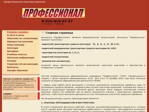 Профессионал