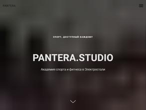 Studio pantera