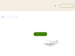 Туриба Торг