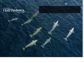 Географика