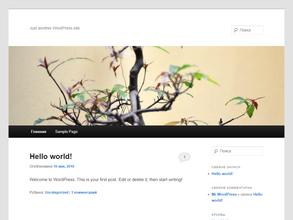 Алион ФенстерСиб