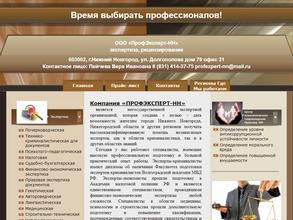 ПрофЭксперт-НН