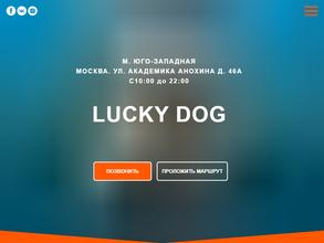 Lucky dog в Москва