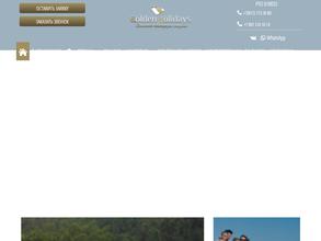 Голден холидейз