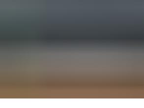 Магазин корма для животных