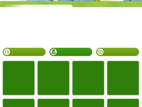 Теплицы на Казахстанской