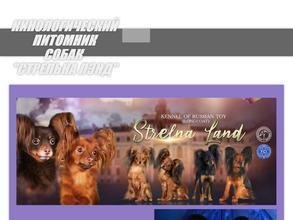 СТРЕЛЬНА ЛЭНД