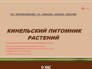 Кинельский