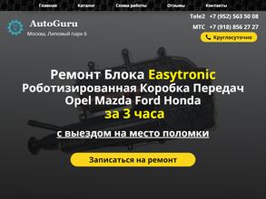 AutoGuru
