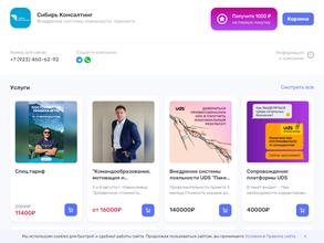 Сибирь консалтинг