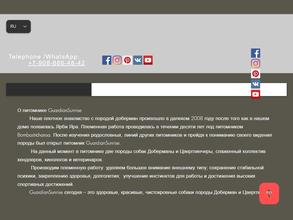 Guardian Sunrise Kennel