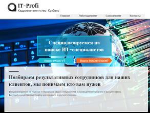 IT-profi