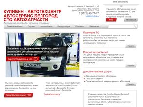 АвтоТехЦентр им. И.П. Кулибина