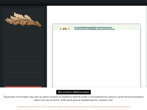 МИРНЕНСКАЯ ДЕТСКАЯ ШКОЛА ИСКУССТВ