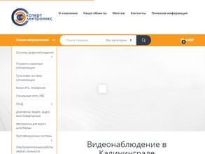 Эксперт-электроникс