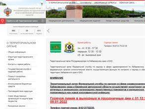 Территориальный орган Федеральной службы по надзору в сфере здравоохранения по Хабаровскому краю и Еврейской автономной области