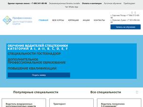 Профессионал