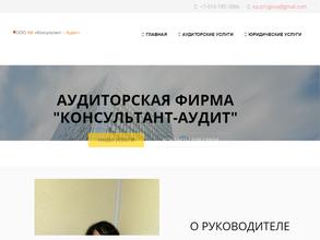 Консультант-Аудит