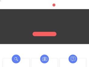 Частный сыск