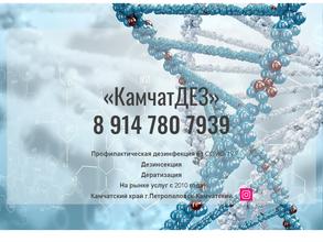 КамчатДэз.рф