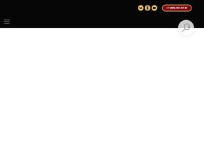 Стальная воля