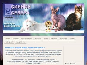 Сияние Севера