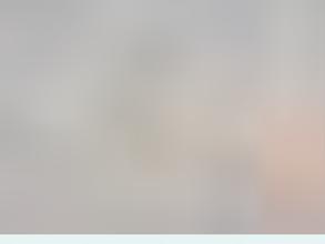 Vincent Решения для пола